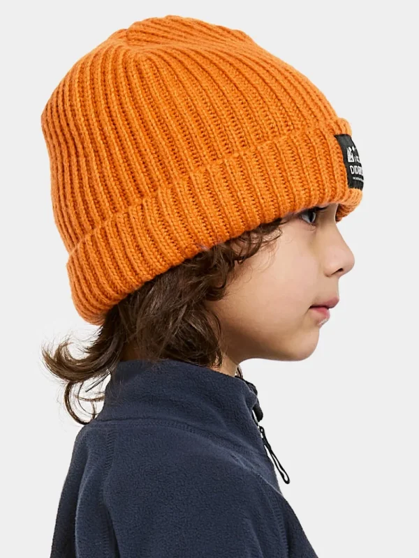 Didriksons Bus Kids' Beanie>Barn Mössor & Kepsar