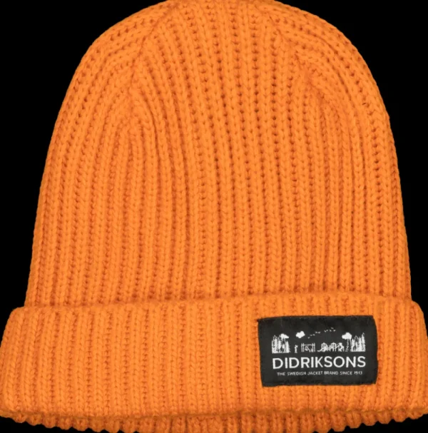 Didriksons Bus Kids' Beanie>Barn Mössor & Kepsar