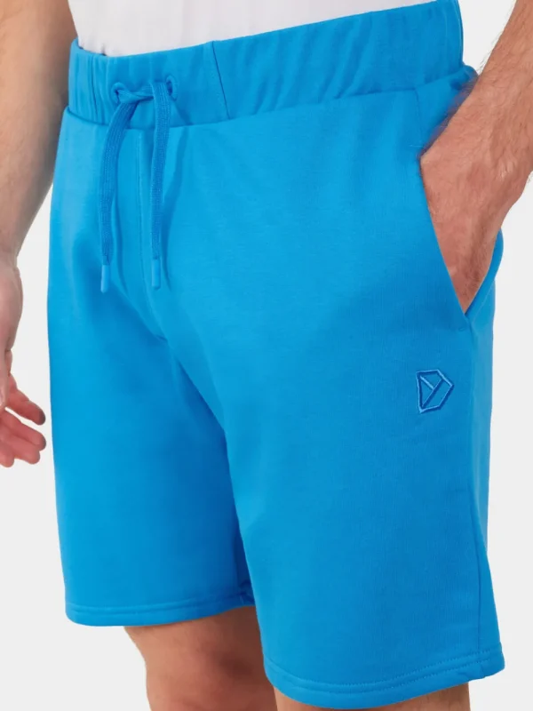 Didriksons Fejan Shorts> Shorts