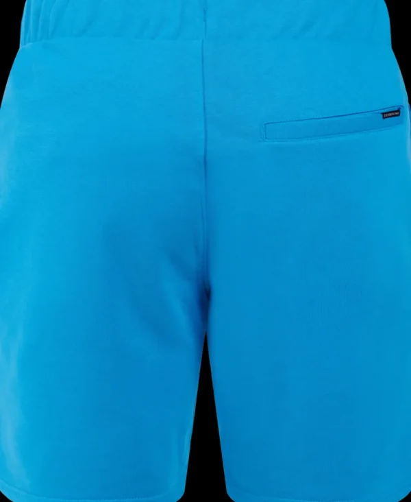 Didriksons Fejan Shorts> Shorts